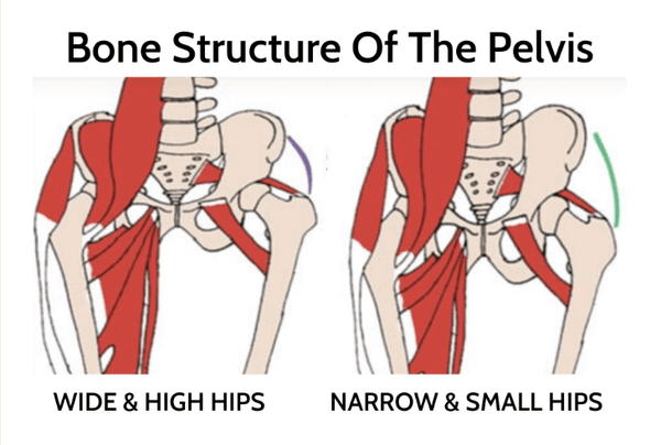 Anatomy Of Hip Dips